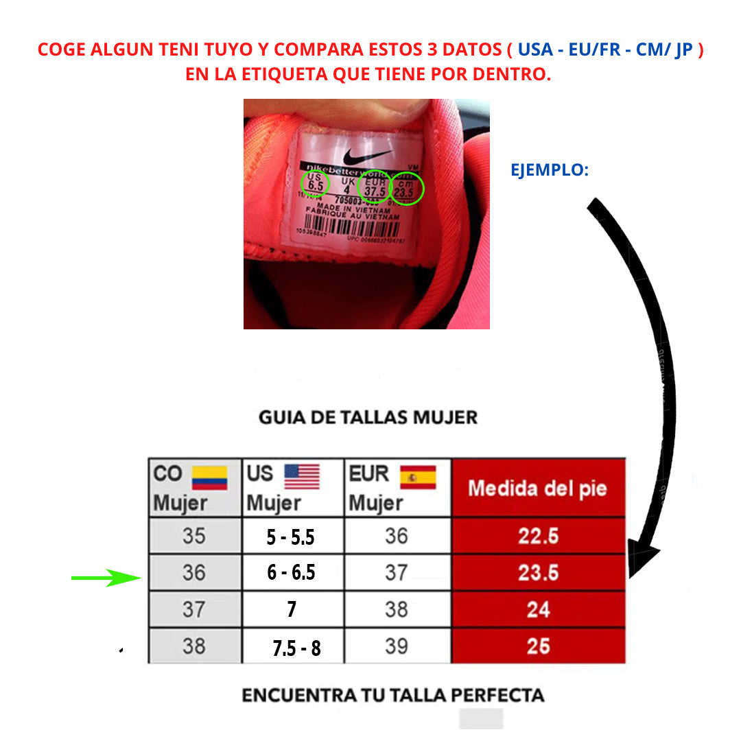 Dama Coach cuer
